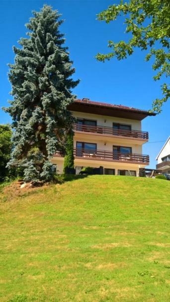 Pension Dabrunz Heimbach Exterior foto